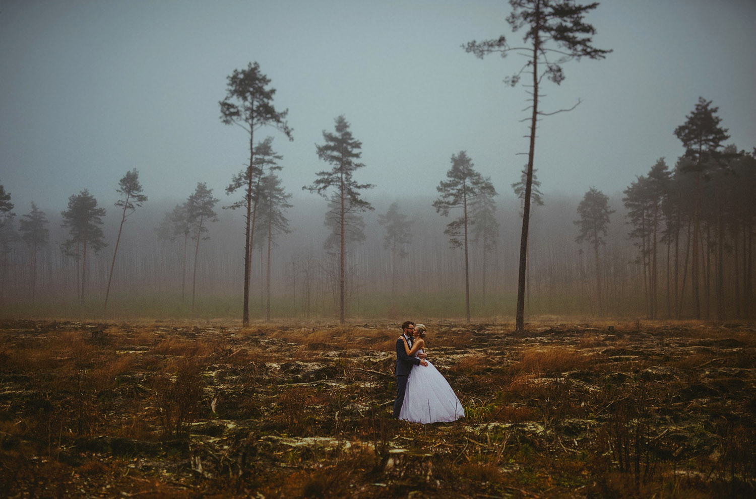 sesja ślubna w lesie, Złoty Potok, Przybynów, sesja ślubna, Tomasz Konopka ,fotografia ślubna Śląsk 